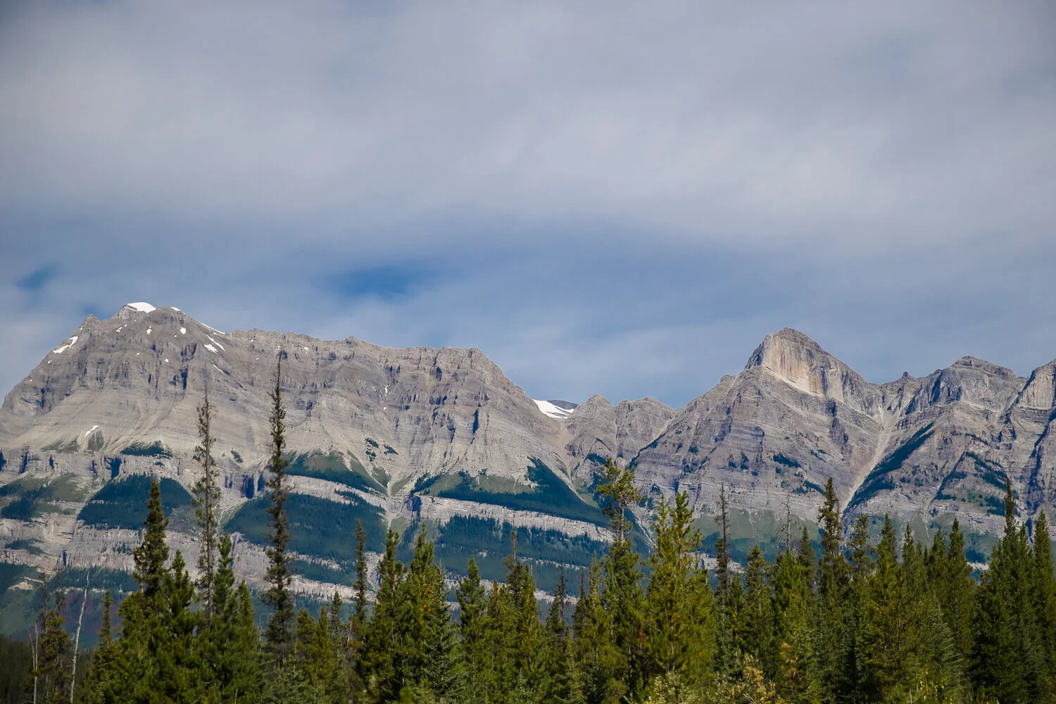 2020 Jasper-12.JPG