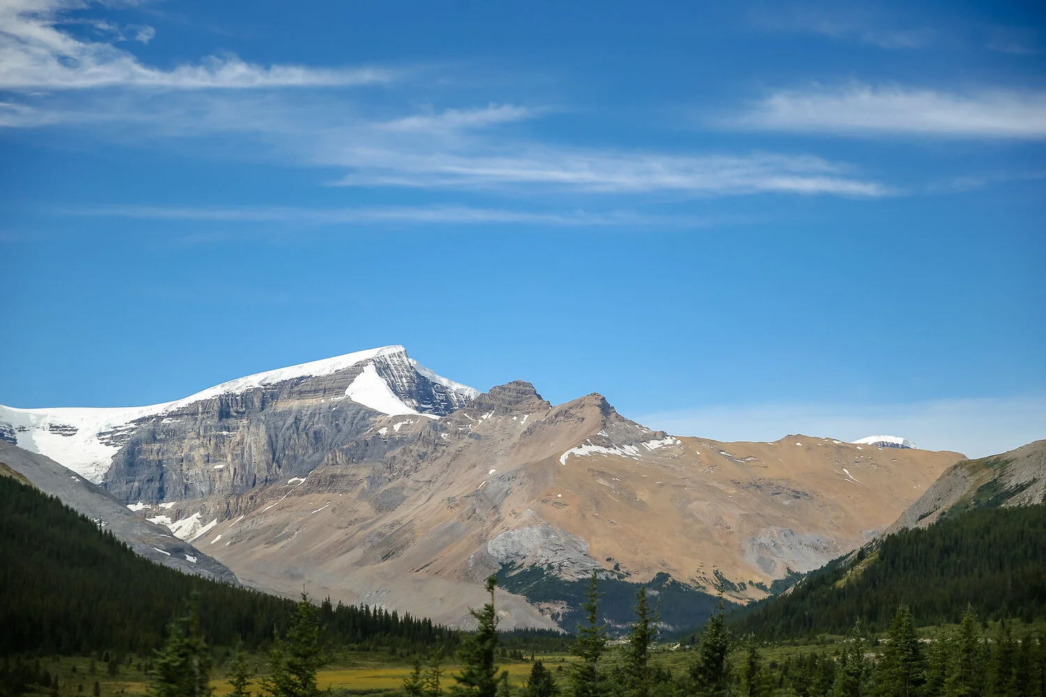 2020 Jasper-19.JPG