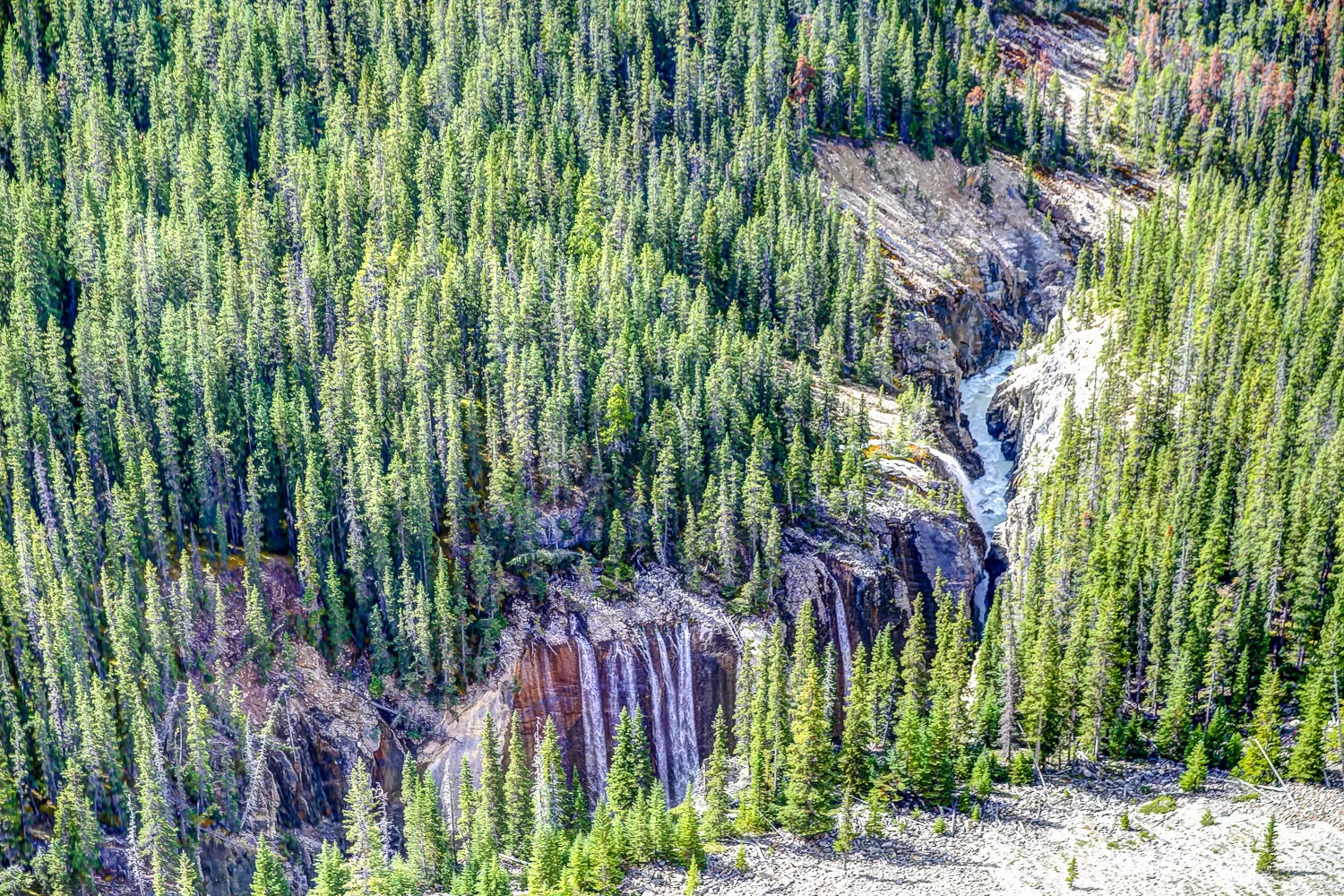 2020 Jasper-32.JPG