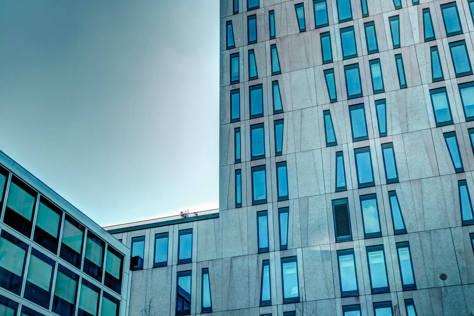 2019 ROTTERDAM-37.JPG