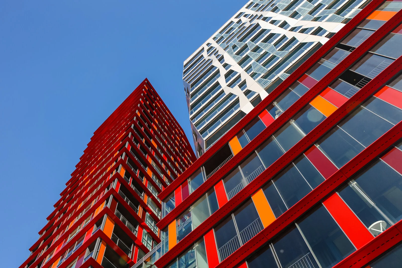 2019 ROTTERDAM-42.JPG