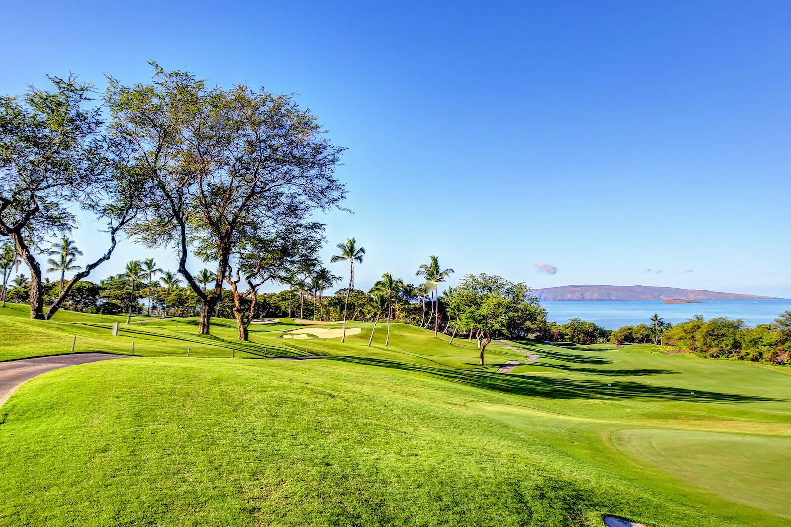 2016 WAILEA-3.JPG