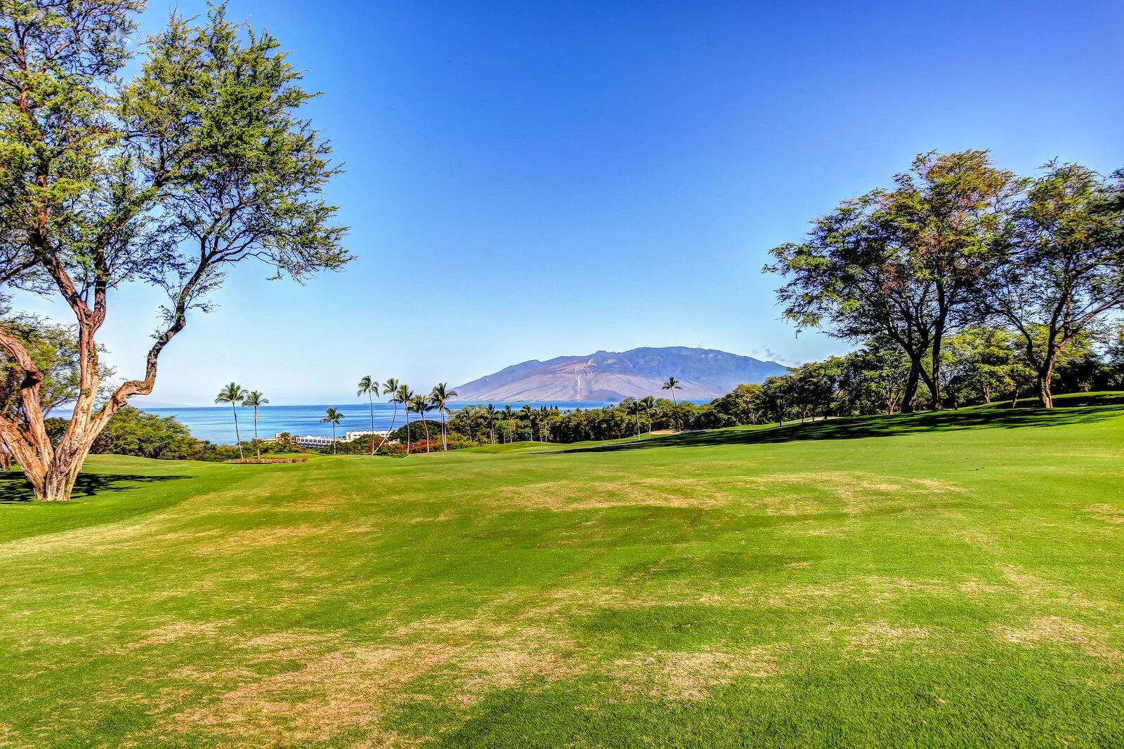 2016 WAILEA-4.JPG