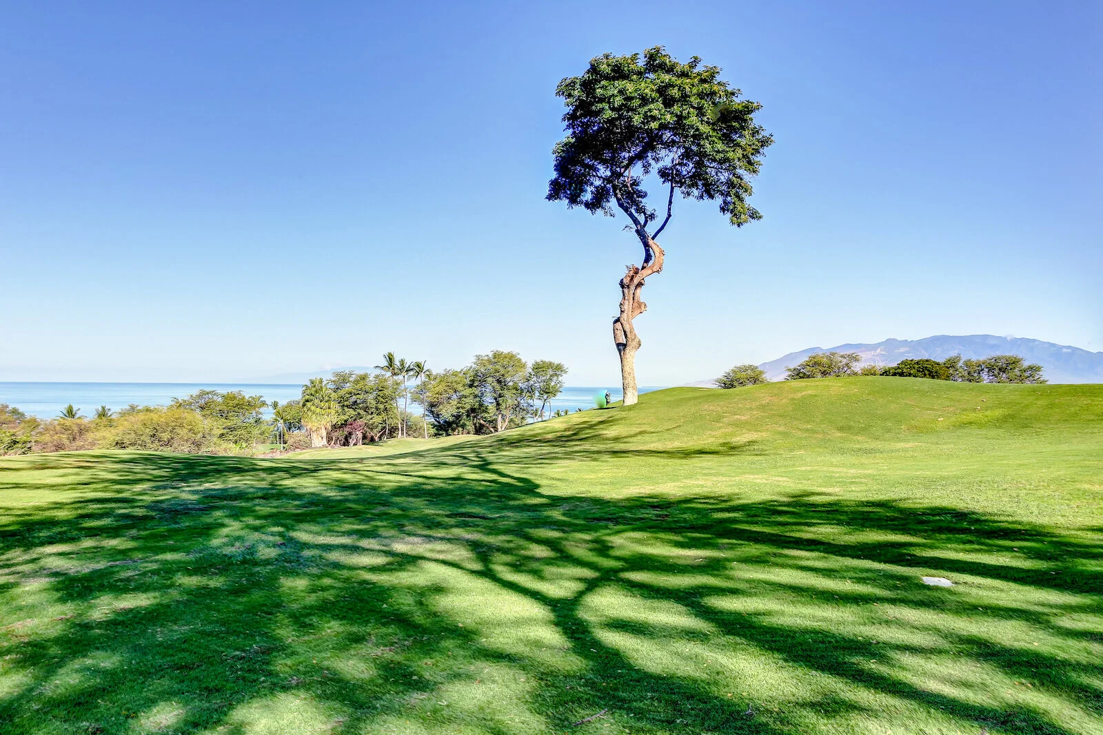 2016 WAILEA-6.JPG