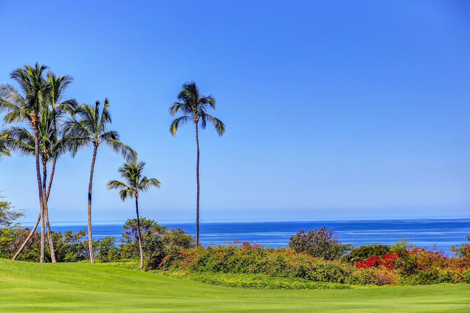 2016 WAILEA-11.JPG
