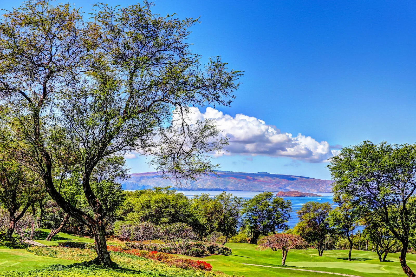 2016 WAILEA-13.JPG