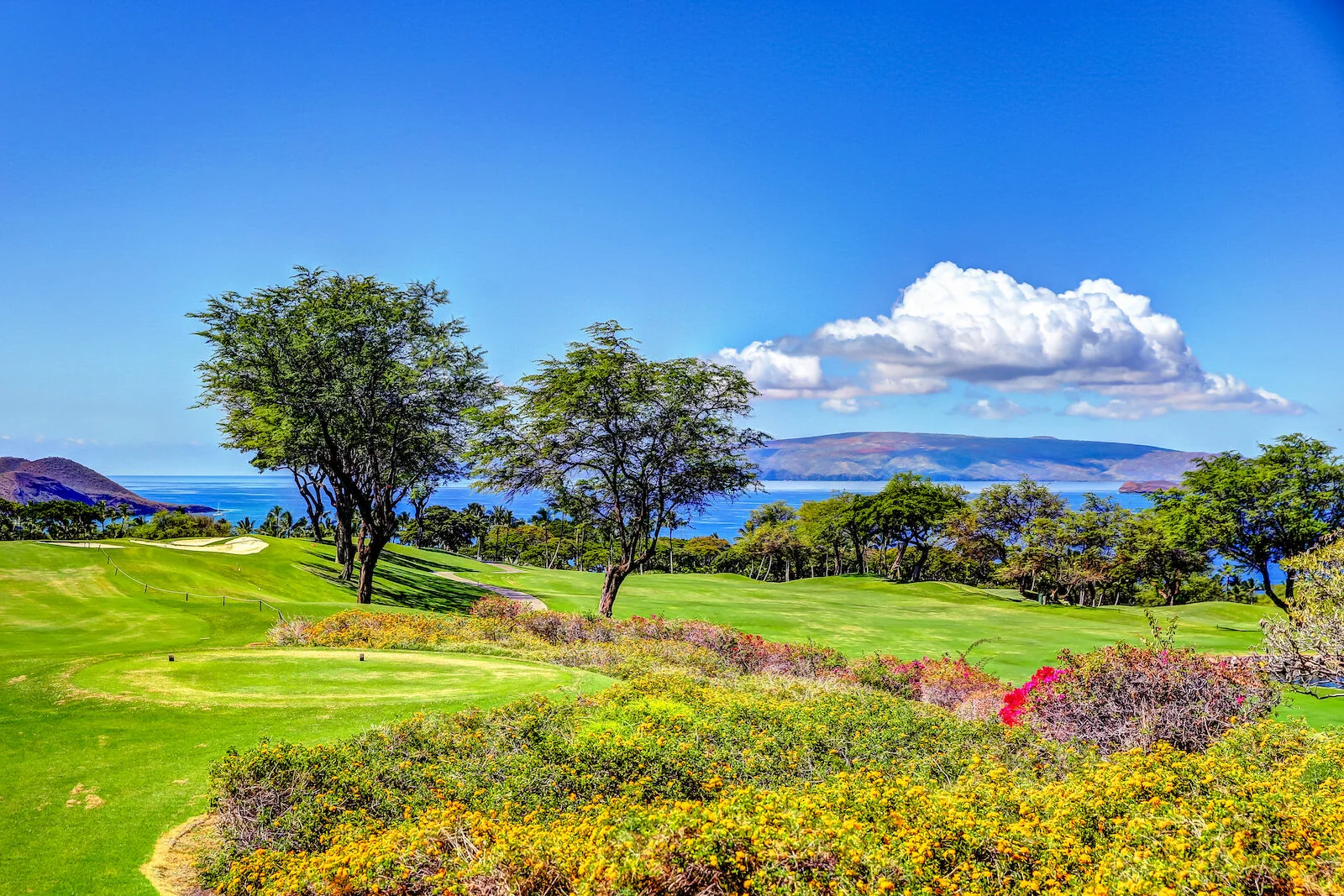 2016 WAILEA-16.JPG