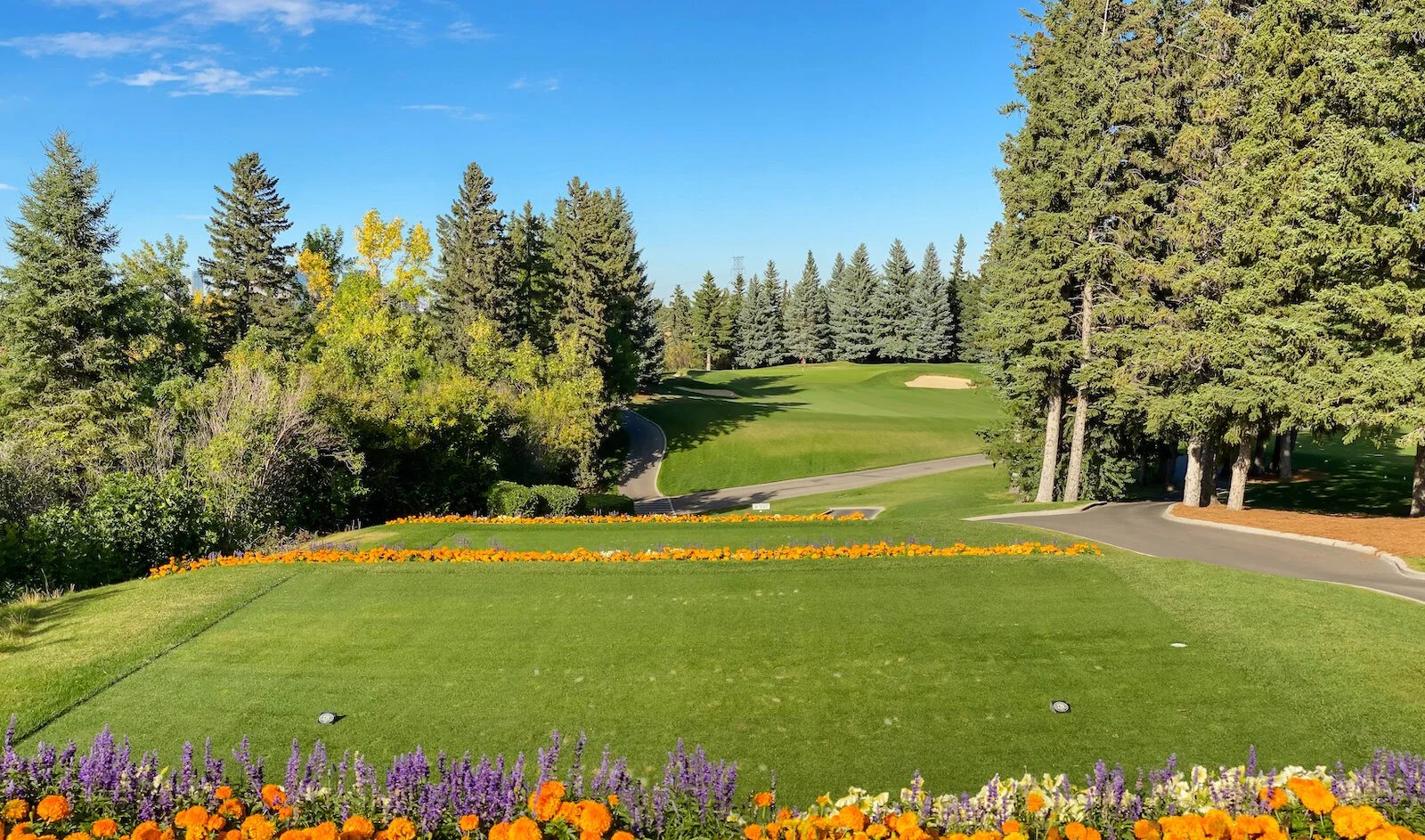 2020 Summer iPhone-197.JPG