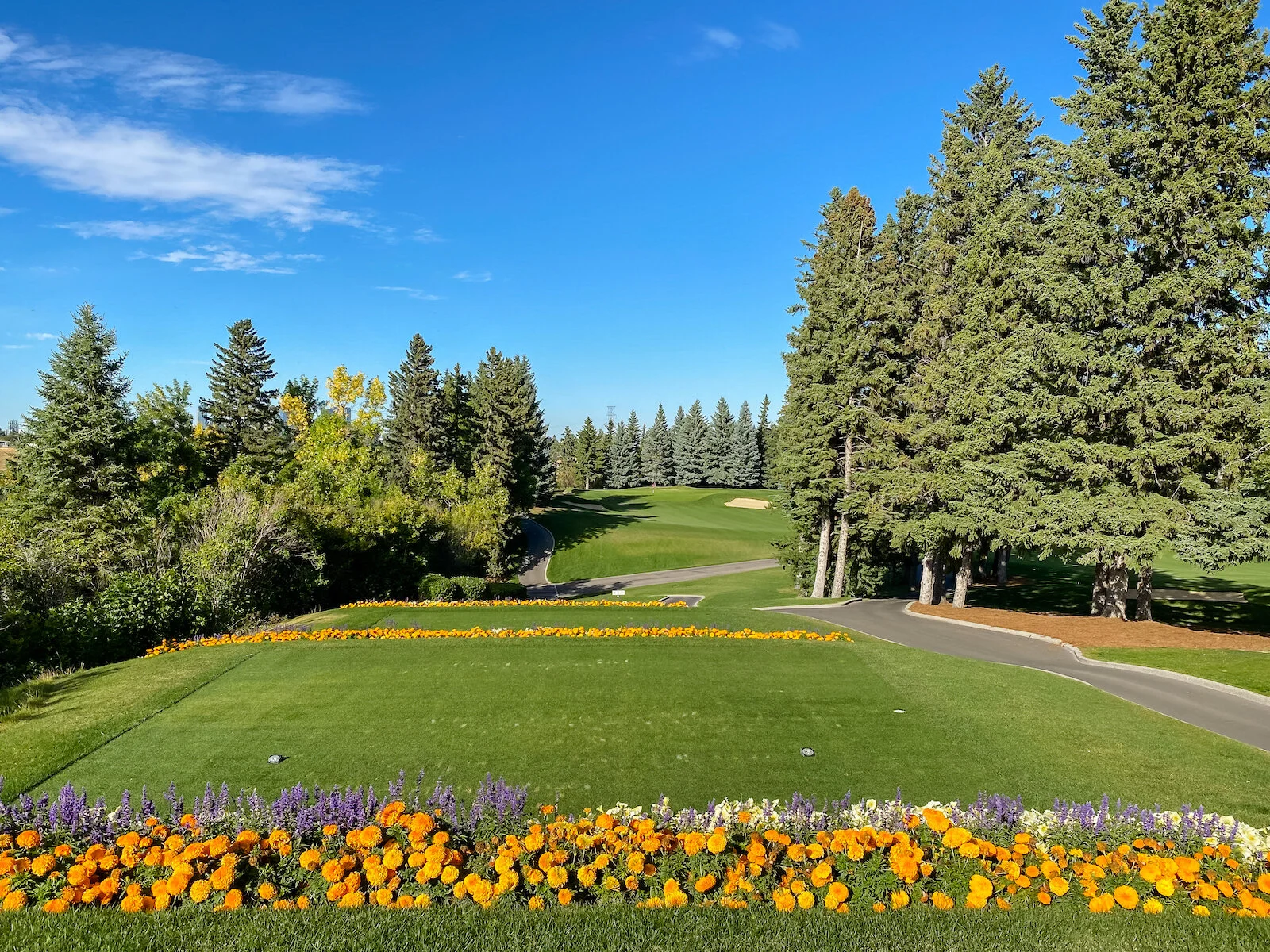 2020 Summer iPhone-199.JPG