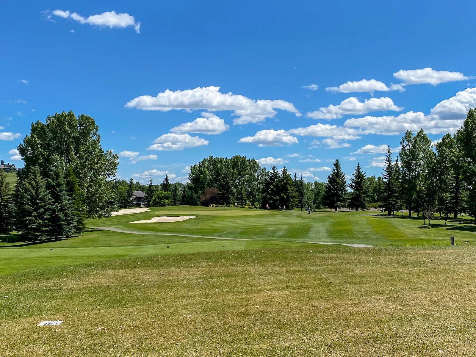 2020 Summer iPhone-32.JPG