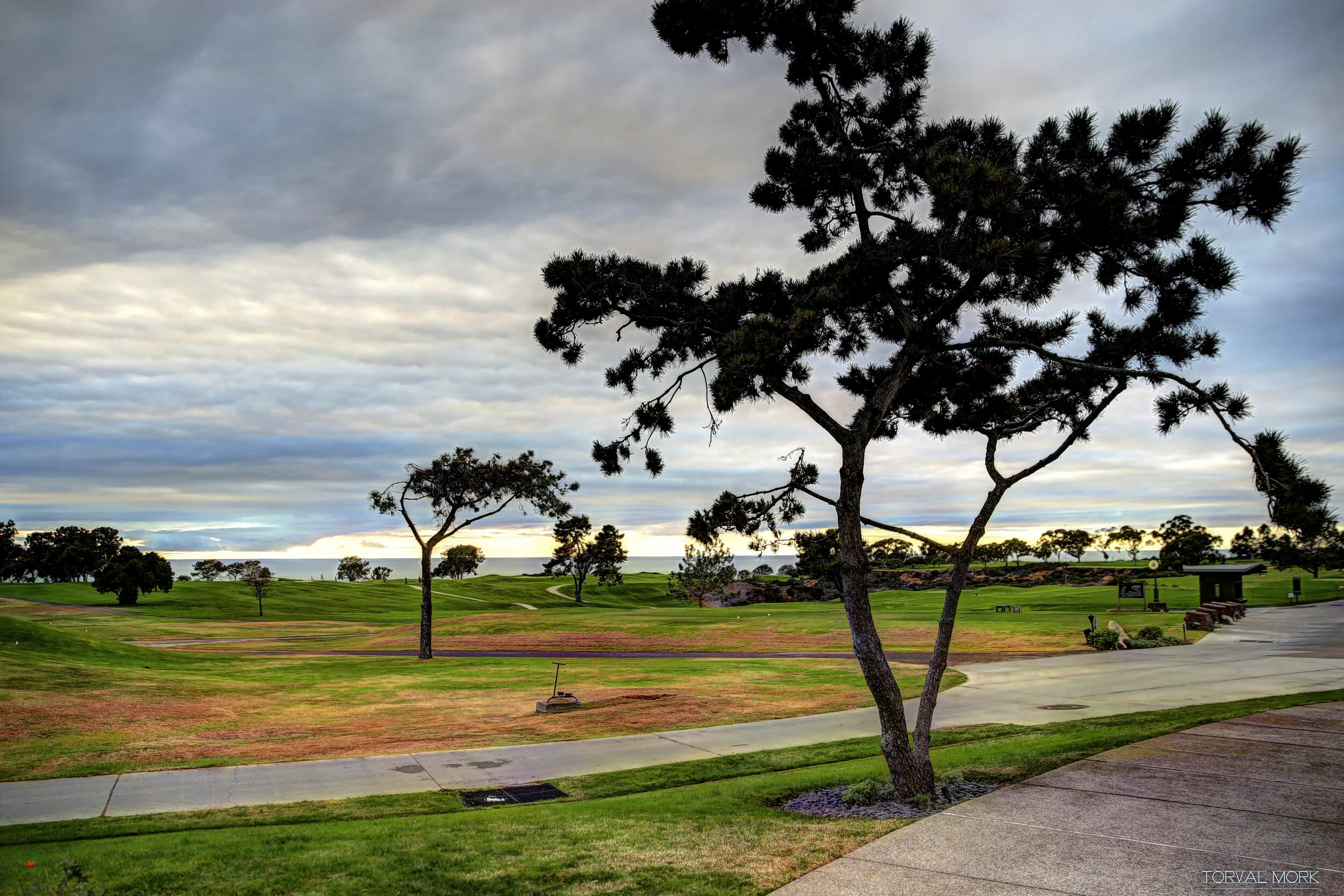 2016 SAN DIEGO-20.JPG