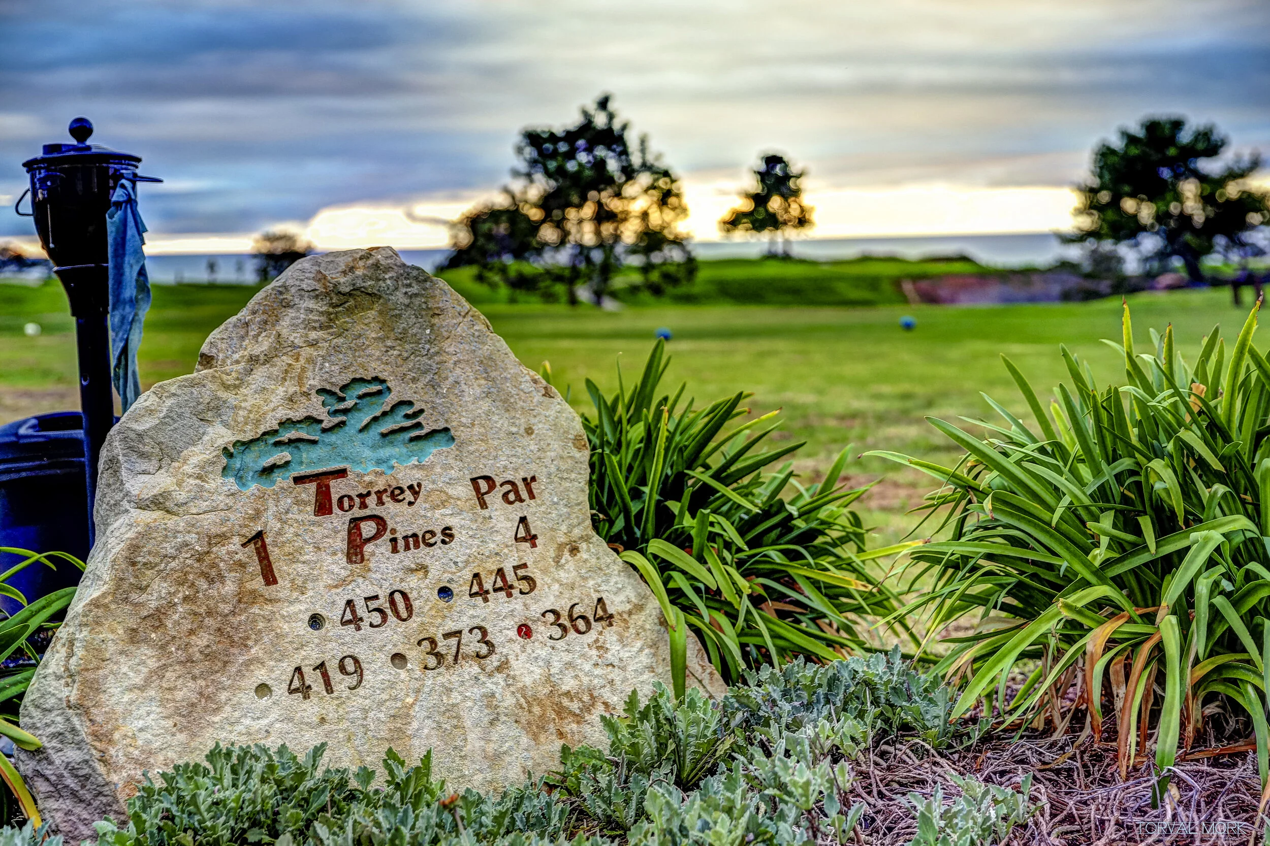 2016 SAN DIEGO-21.JPG