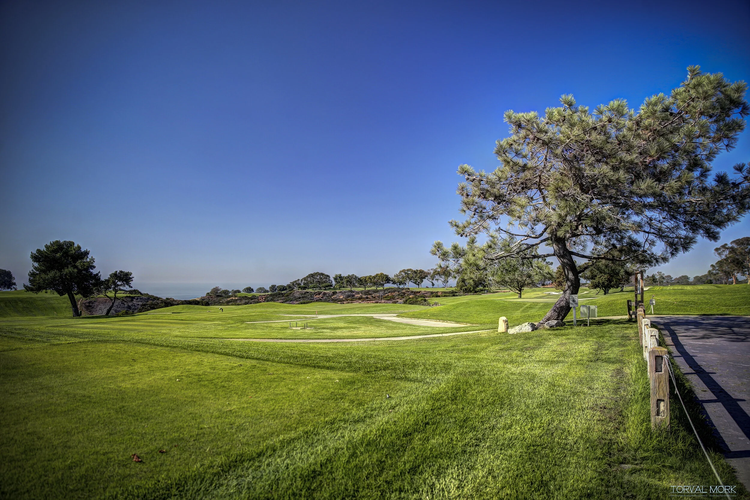 2016 SAN DIEGO-37.JPG