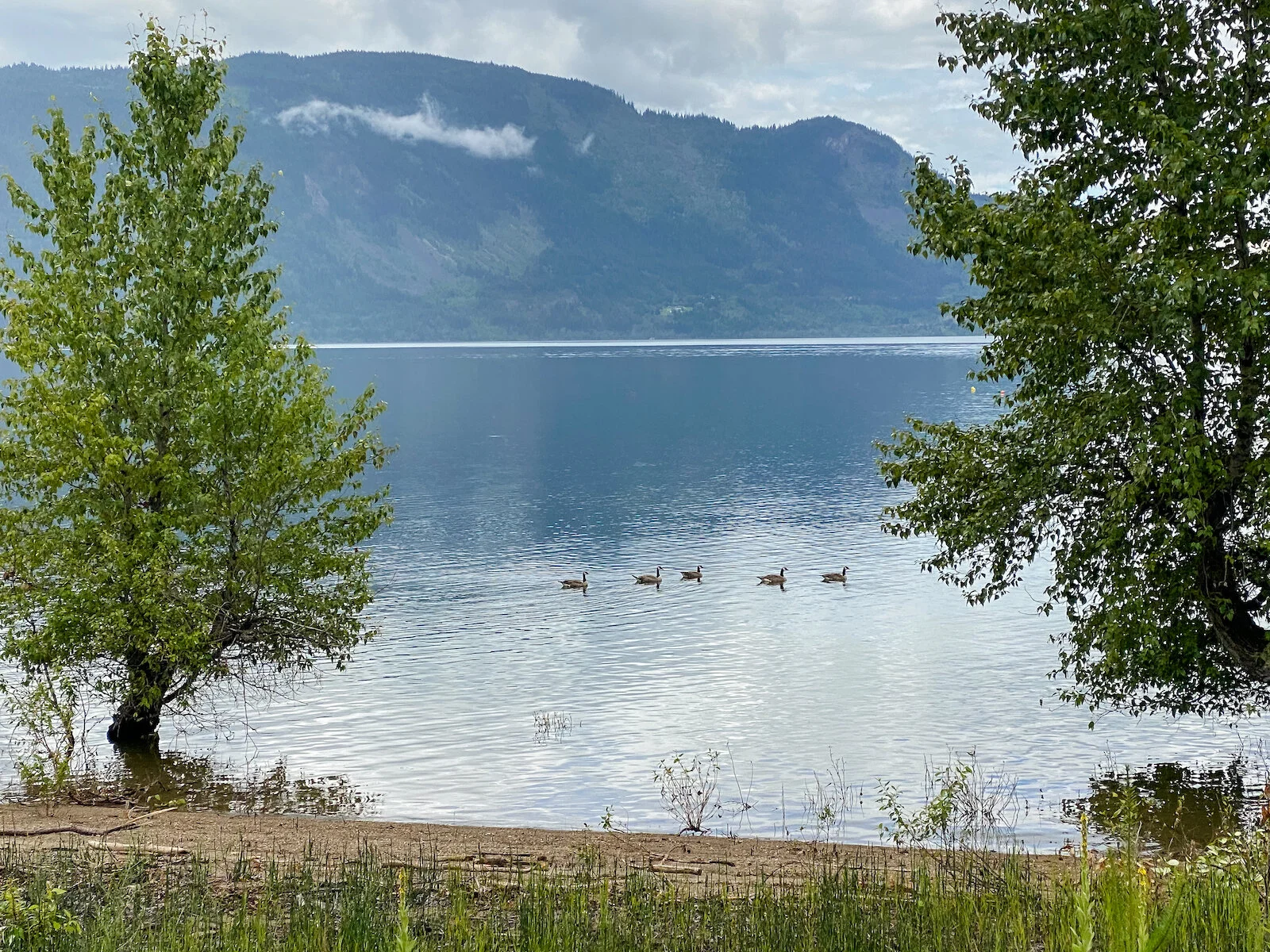 2020 Summer iPhone-51.JPG