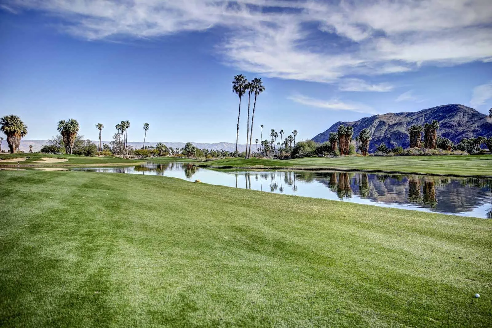 2016 PS LANDSCAPES-48.JPG