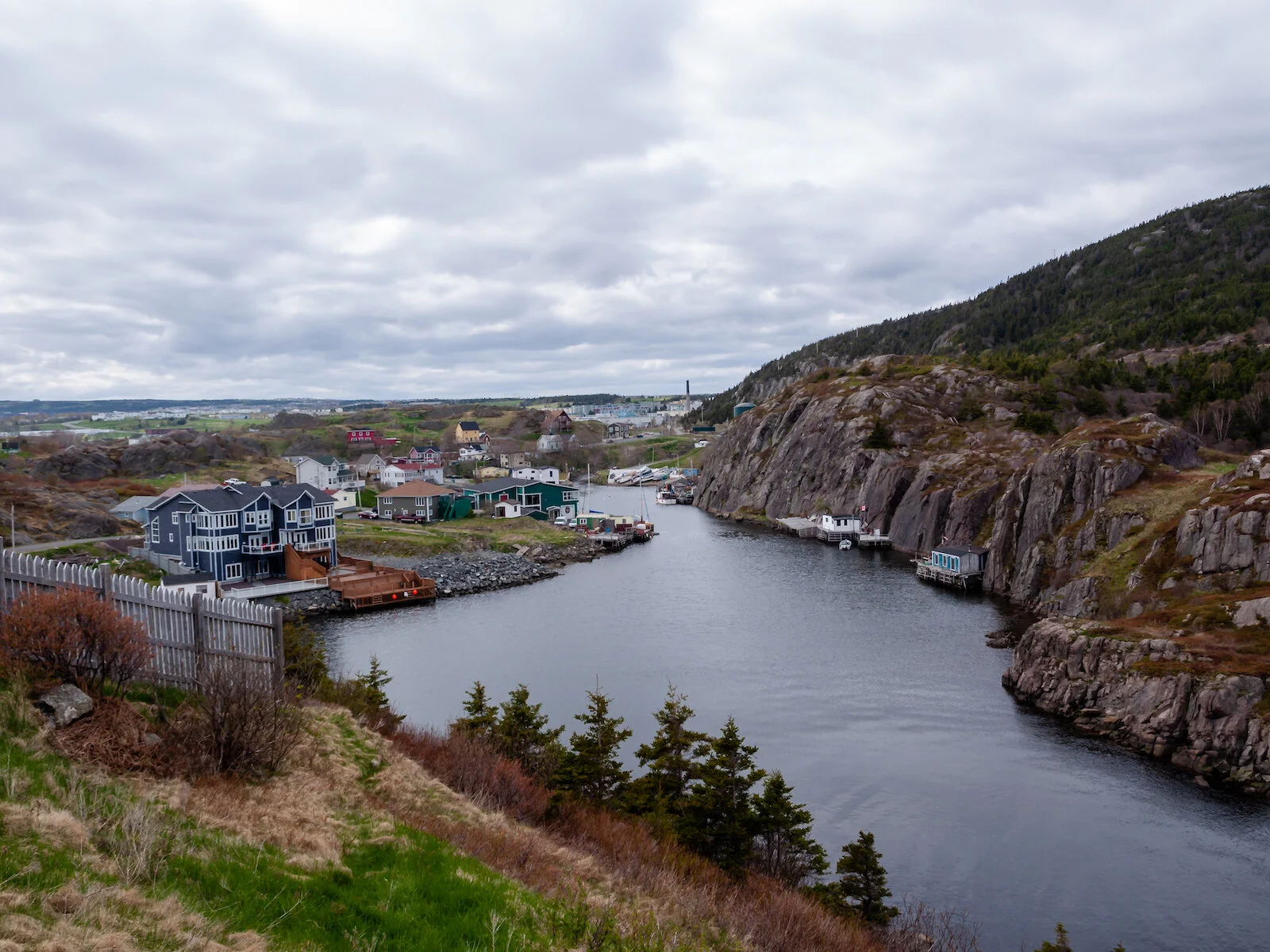 2009 Newfoundland 2020 edit-2.JPG