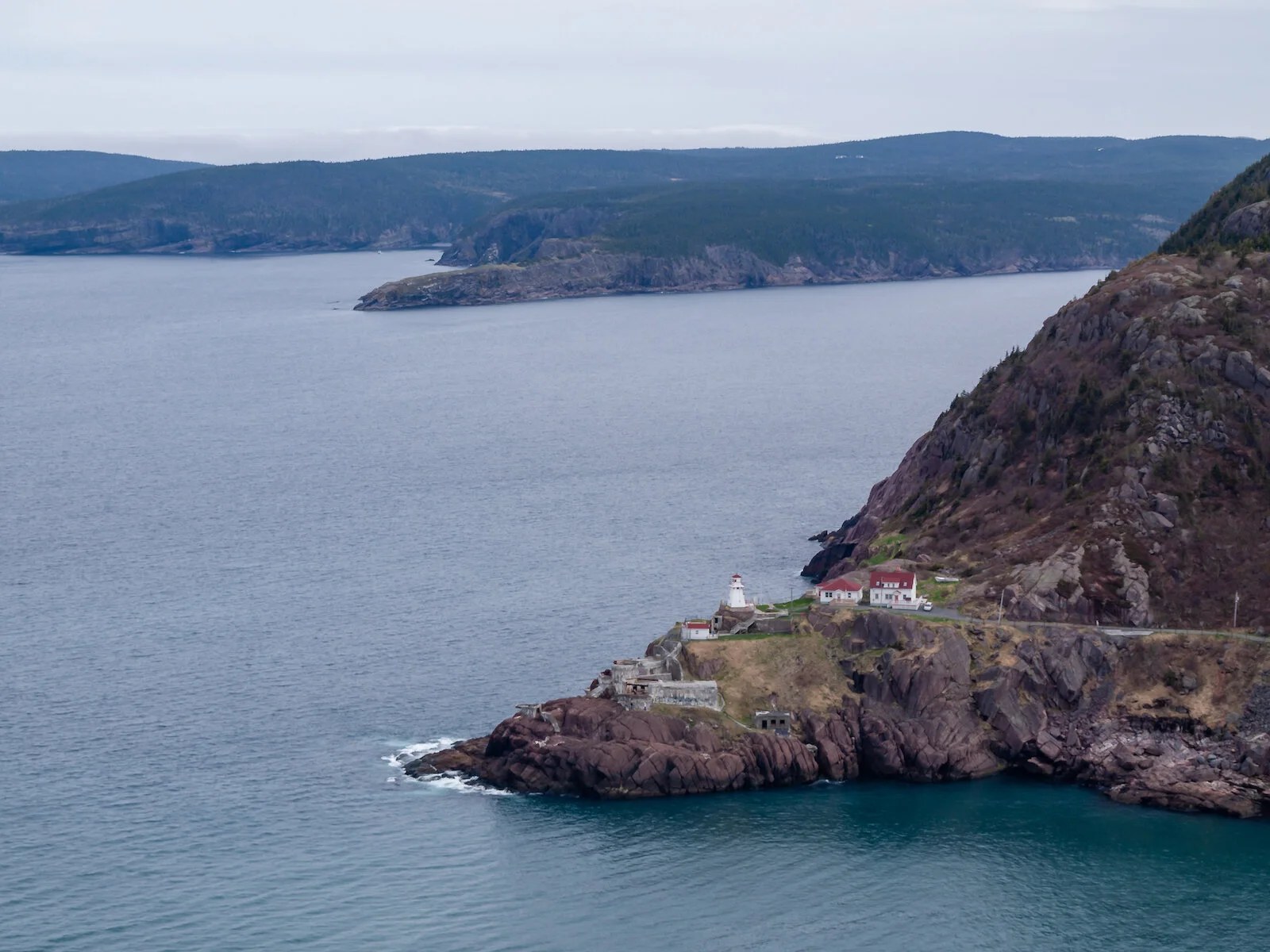 2009 Newfoundland 2020 edit-4.JPG