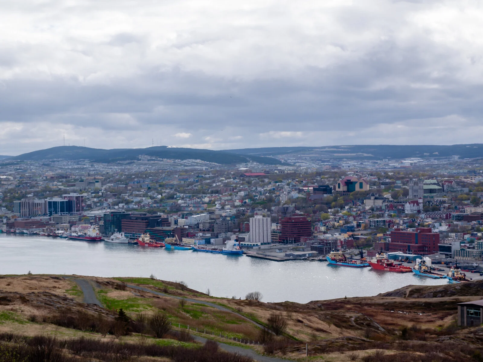2009 Newfoundland 2020 edit-5.JPG