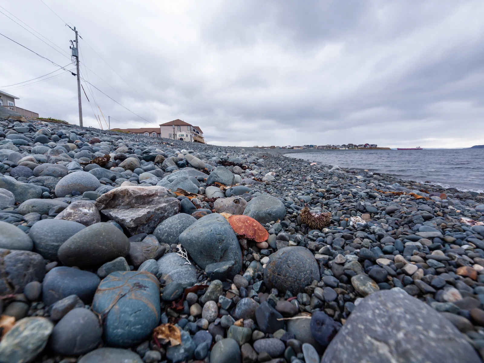 2009 Newfoundland 2020 edit-10.JPG