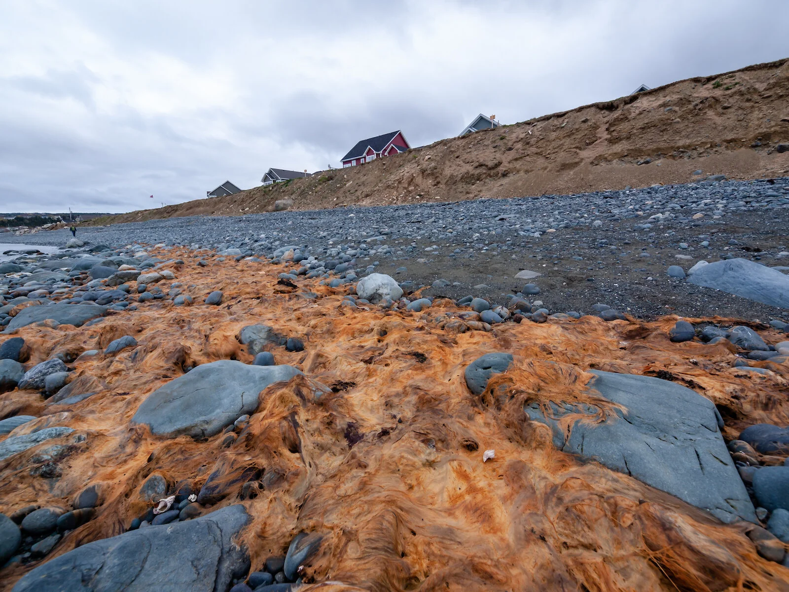 2009 Newfoundland 2020 edit-21.JPG