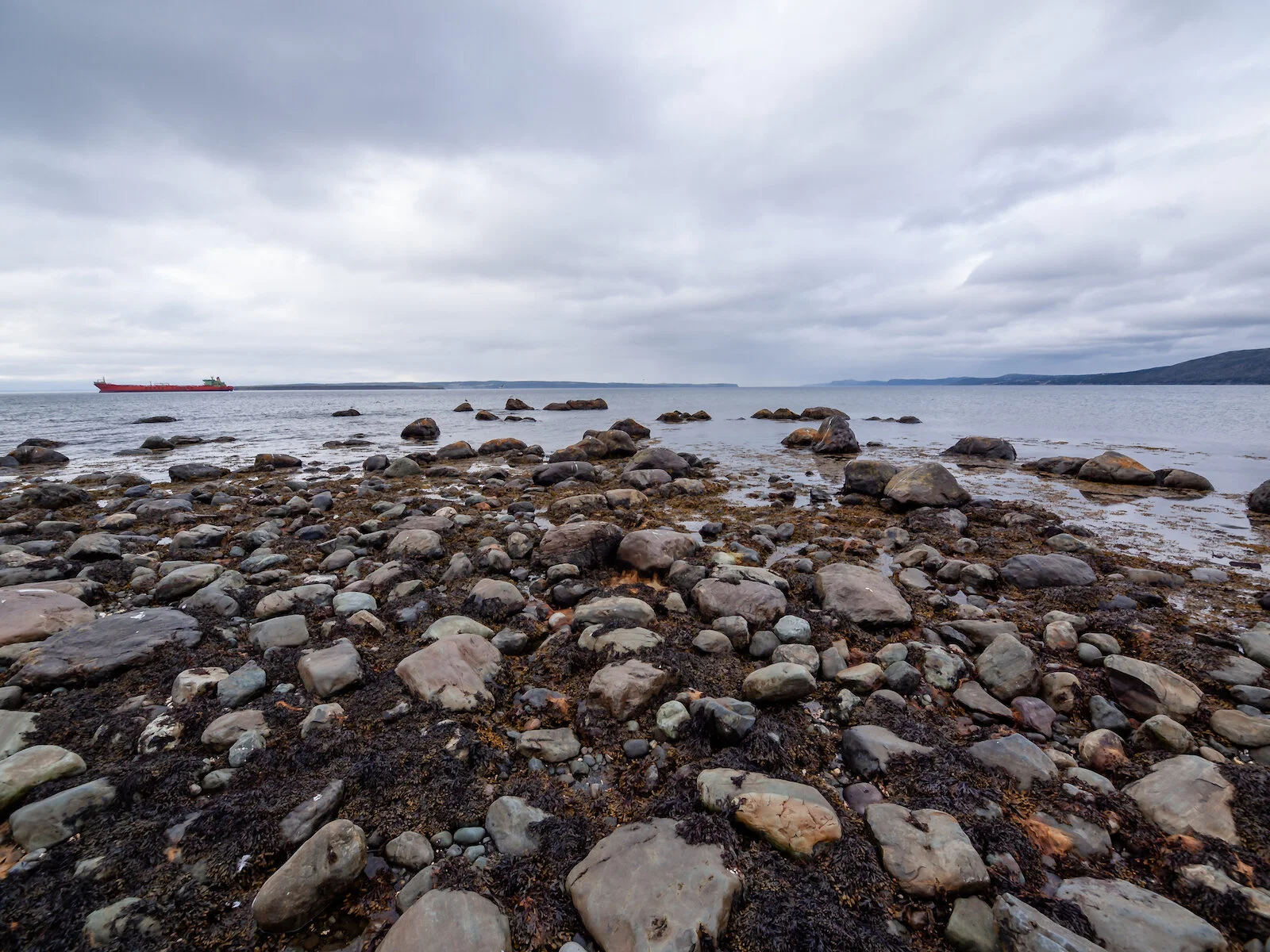 2009 Newfoundland 2020 edit-25.JPG