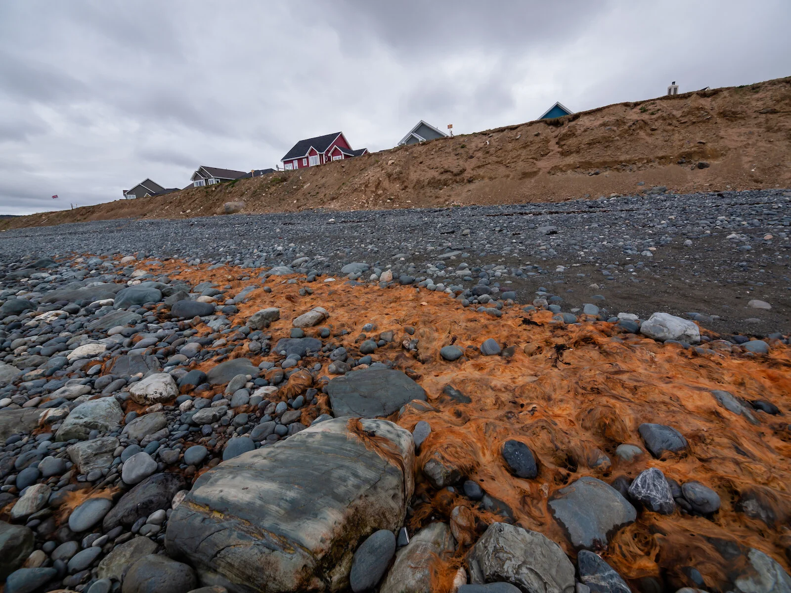 2009 Newfoundland 2020 edit-26.JPG