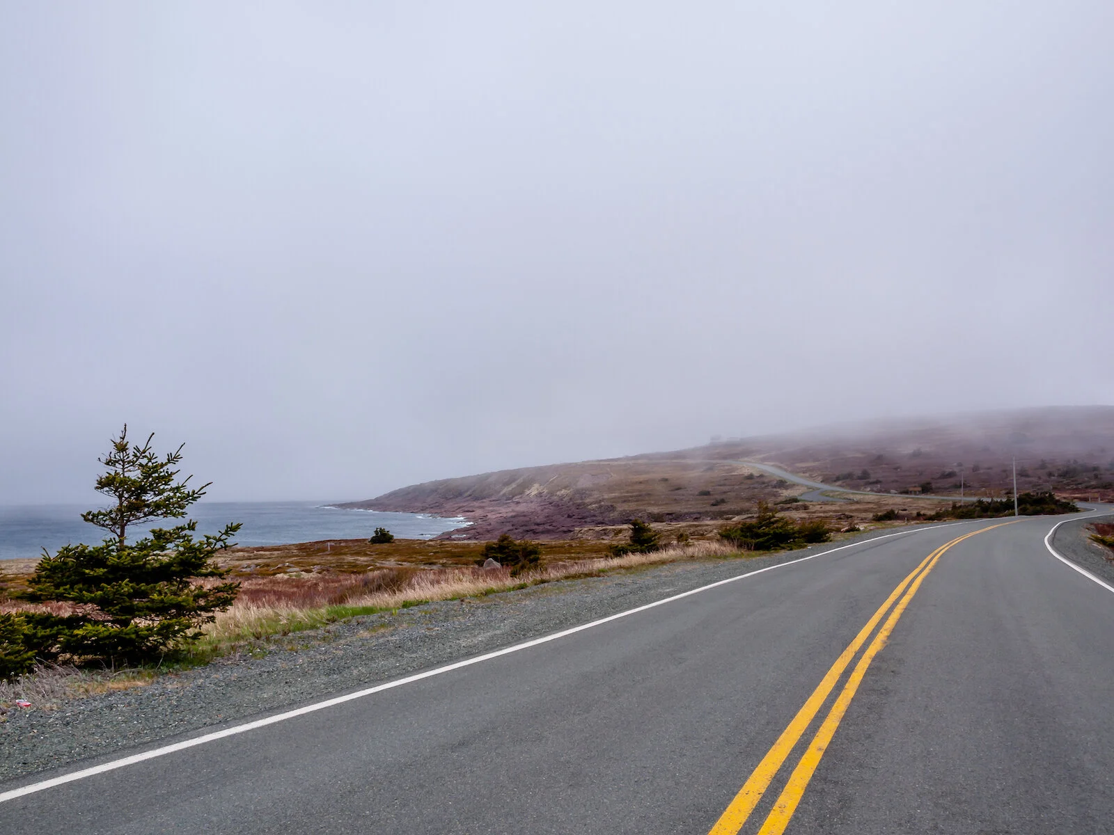 2009 Newfoundland 2020 edit-29.JPG