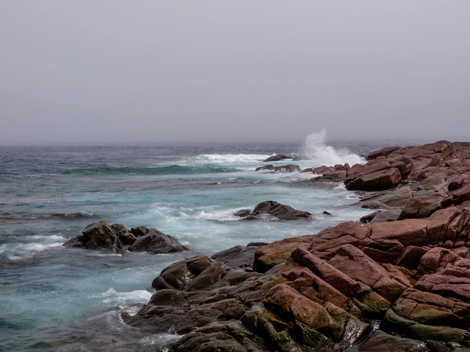 2009 Newfoundland 2020 edit-31.JPG