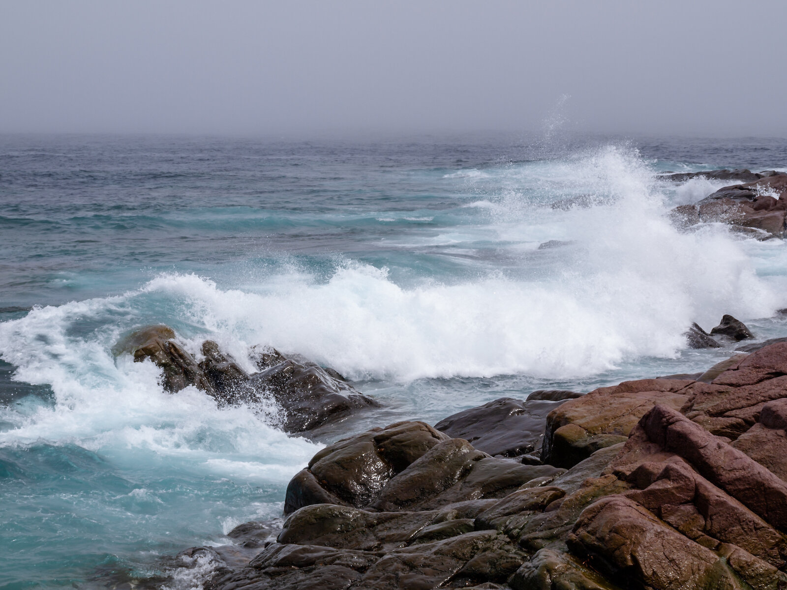 2009 Newfoundland 2020 edit-32.JPG