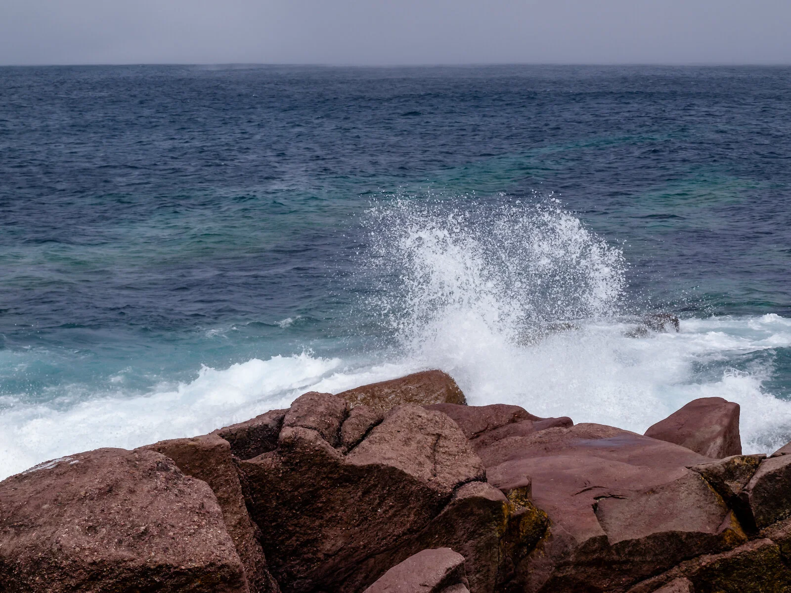 2009 Newfoundland 2020 edit-33.JPG