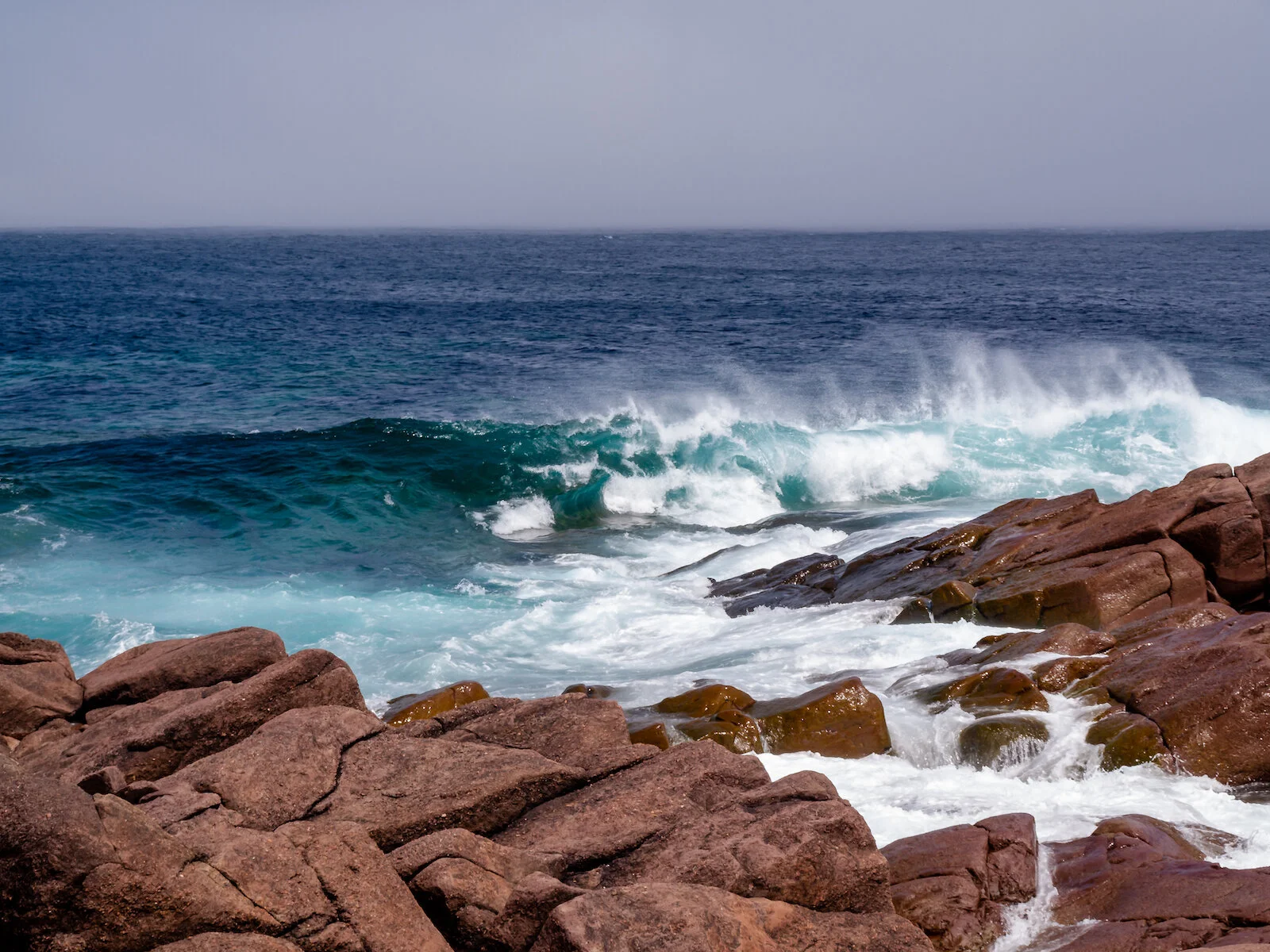 2009 Newfoundland 2020 edit-37.JPG