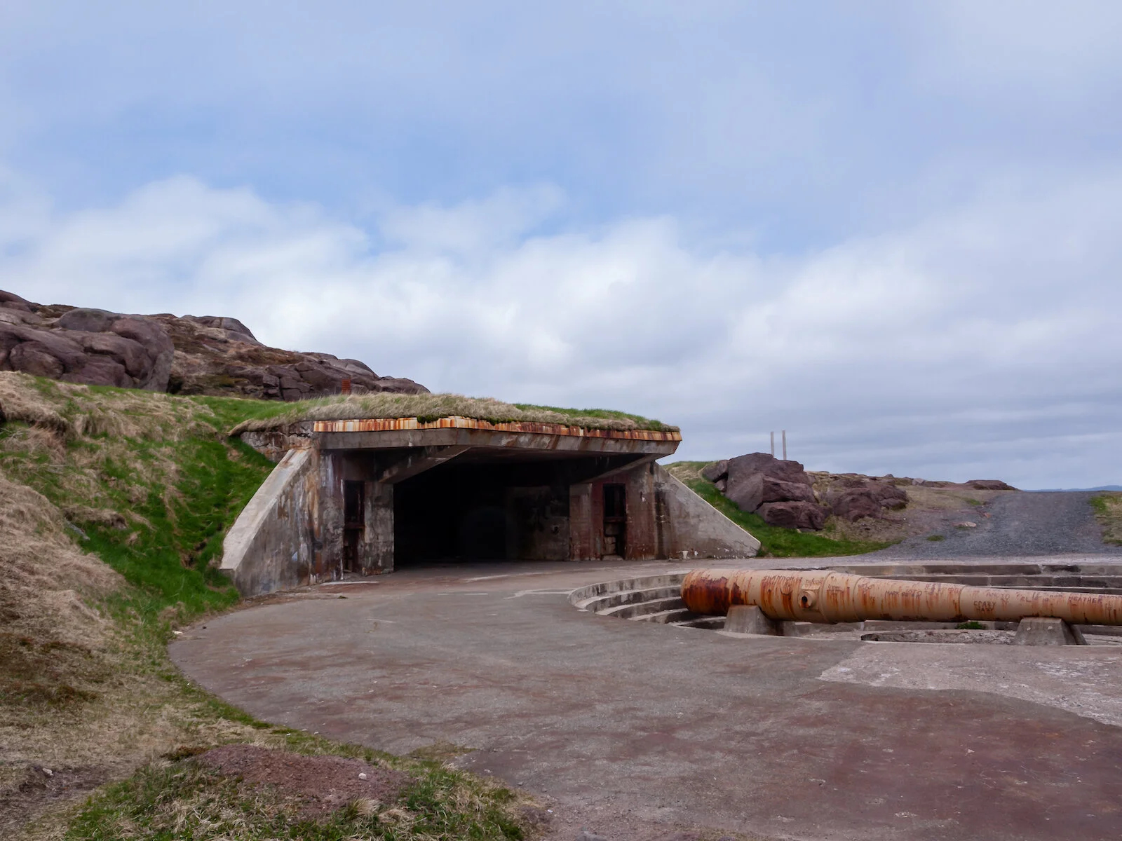 2009 Newfoundland 2020 edit-42.JPG