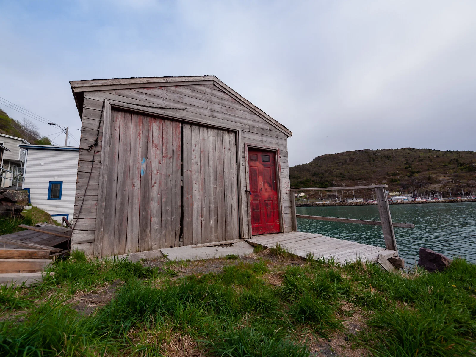 2009 Newfoundland 2020 edit-46.JPG