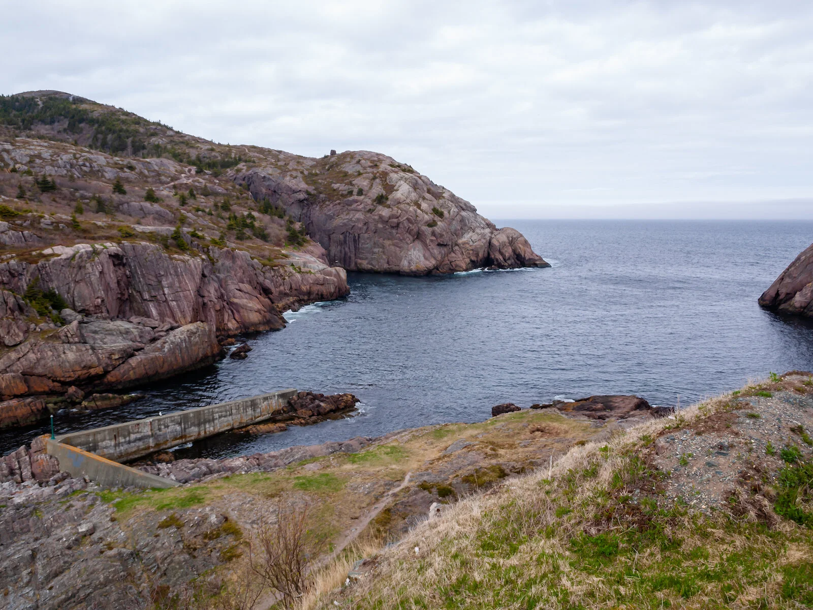 2009 Newfoundland 2020 edit.JPG