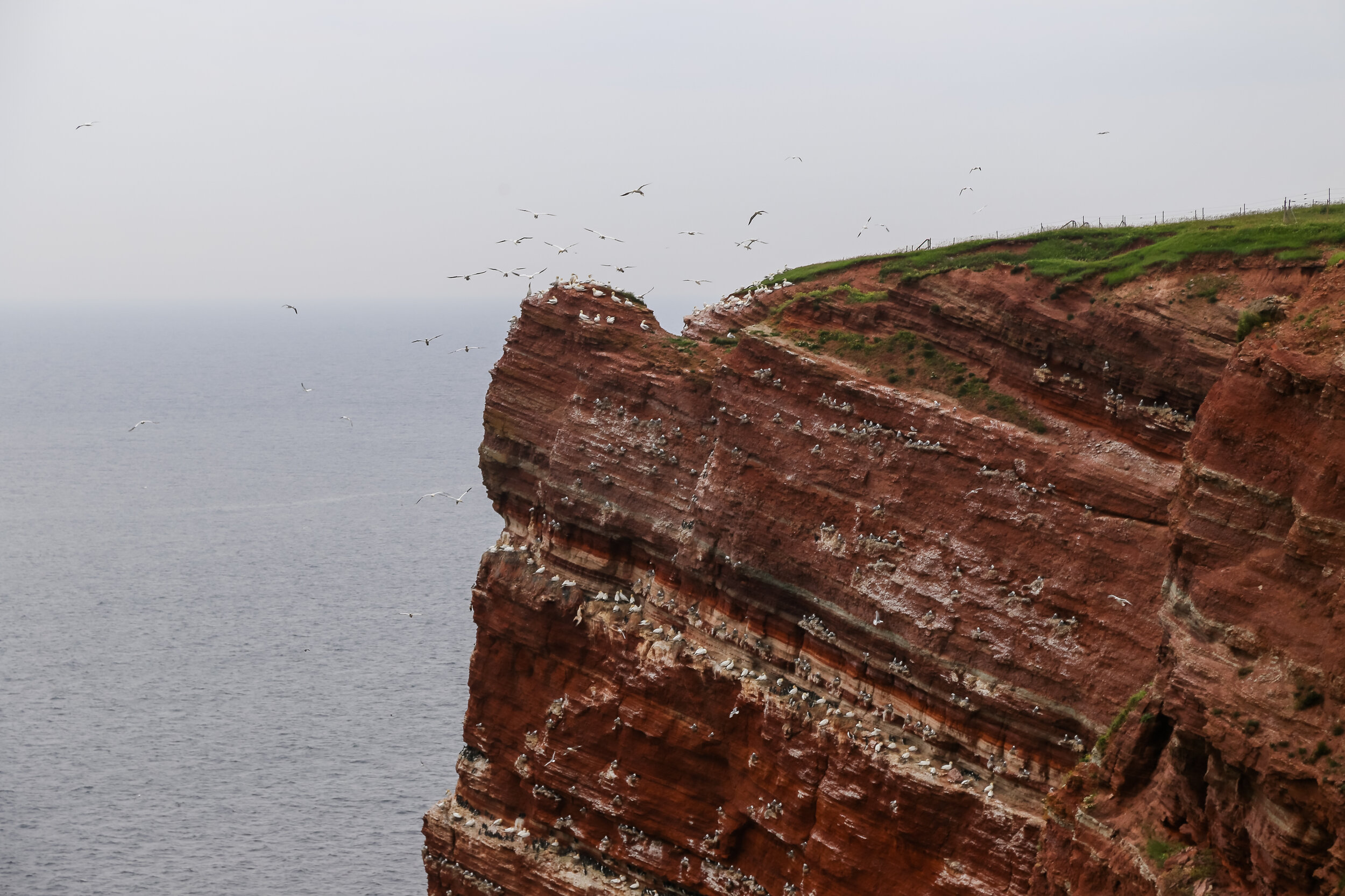 2013 EUROPE HELGOLAND-4.JPG