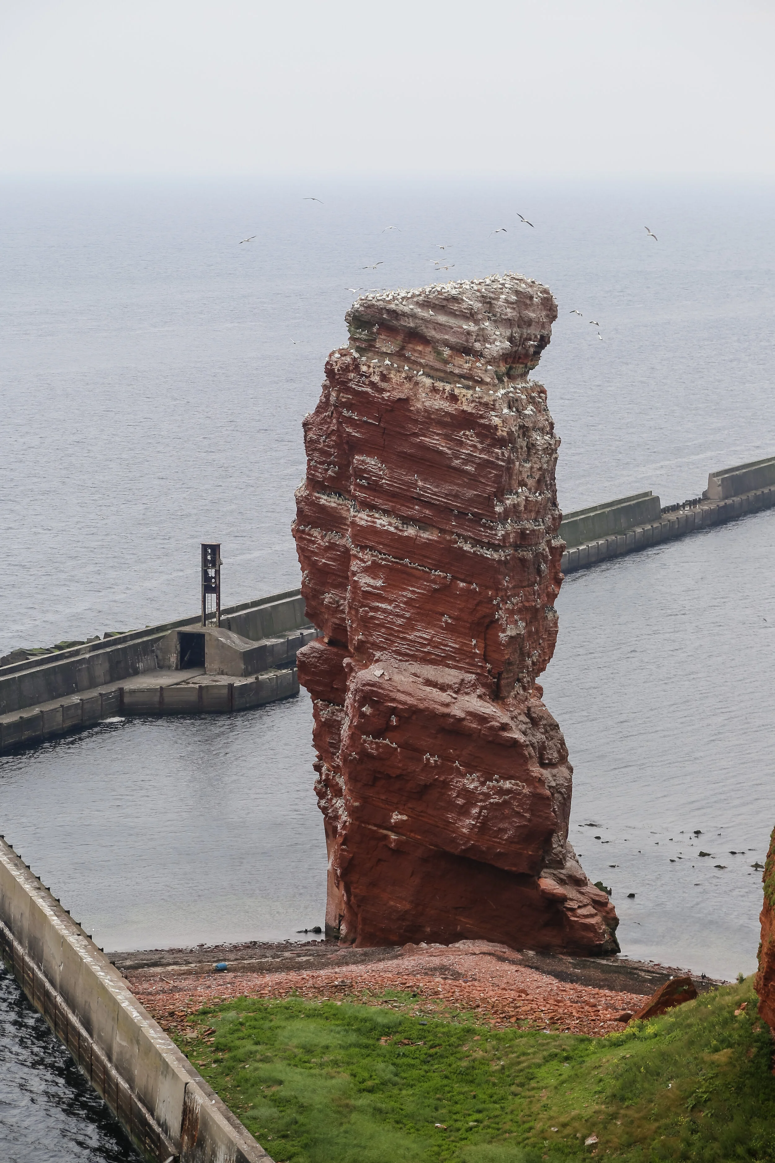 2013 EUROPE HELGOLAND-12.JPG