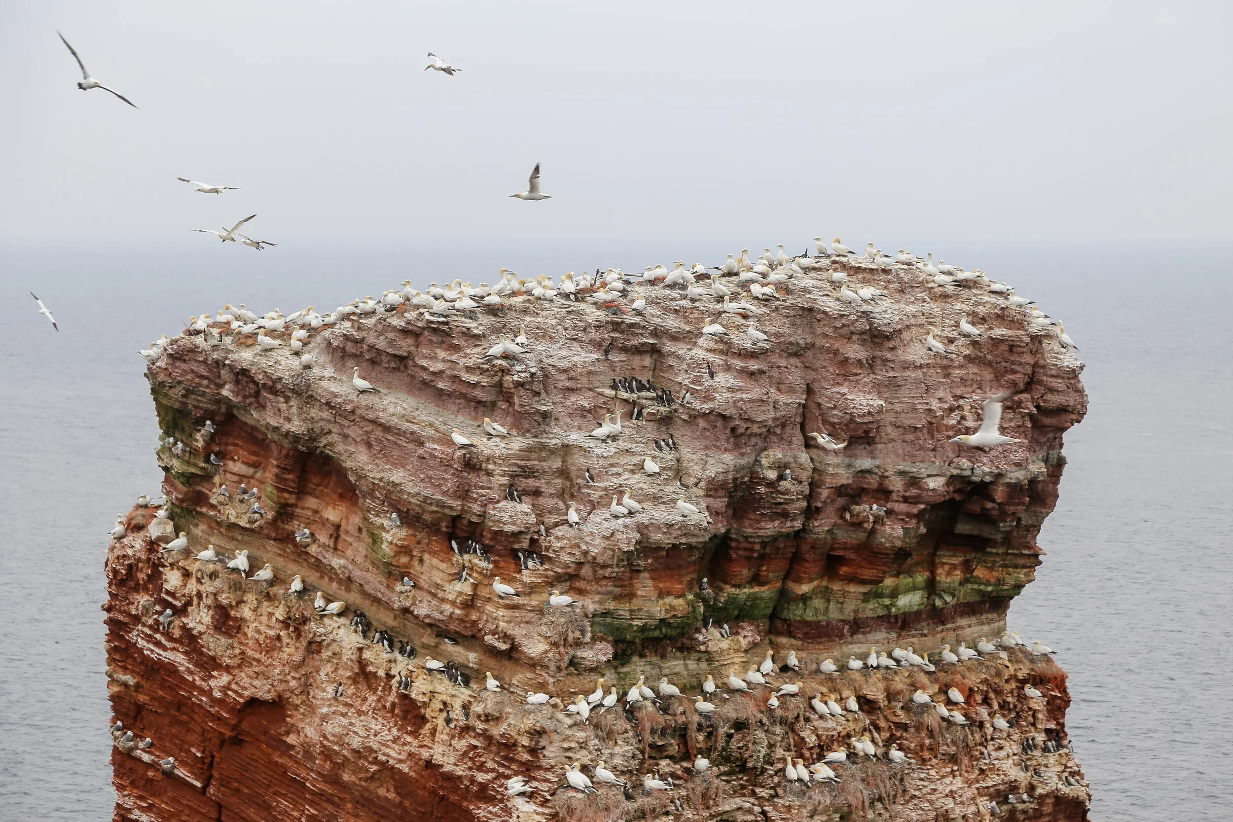 2013 EUROPE HELGOLAND-15.JPG
