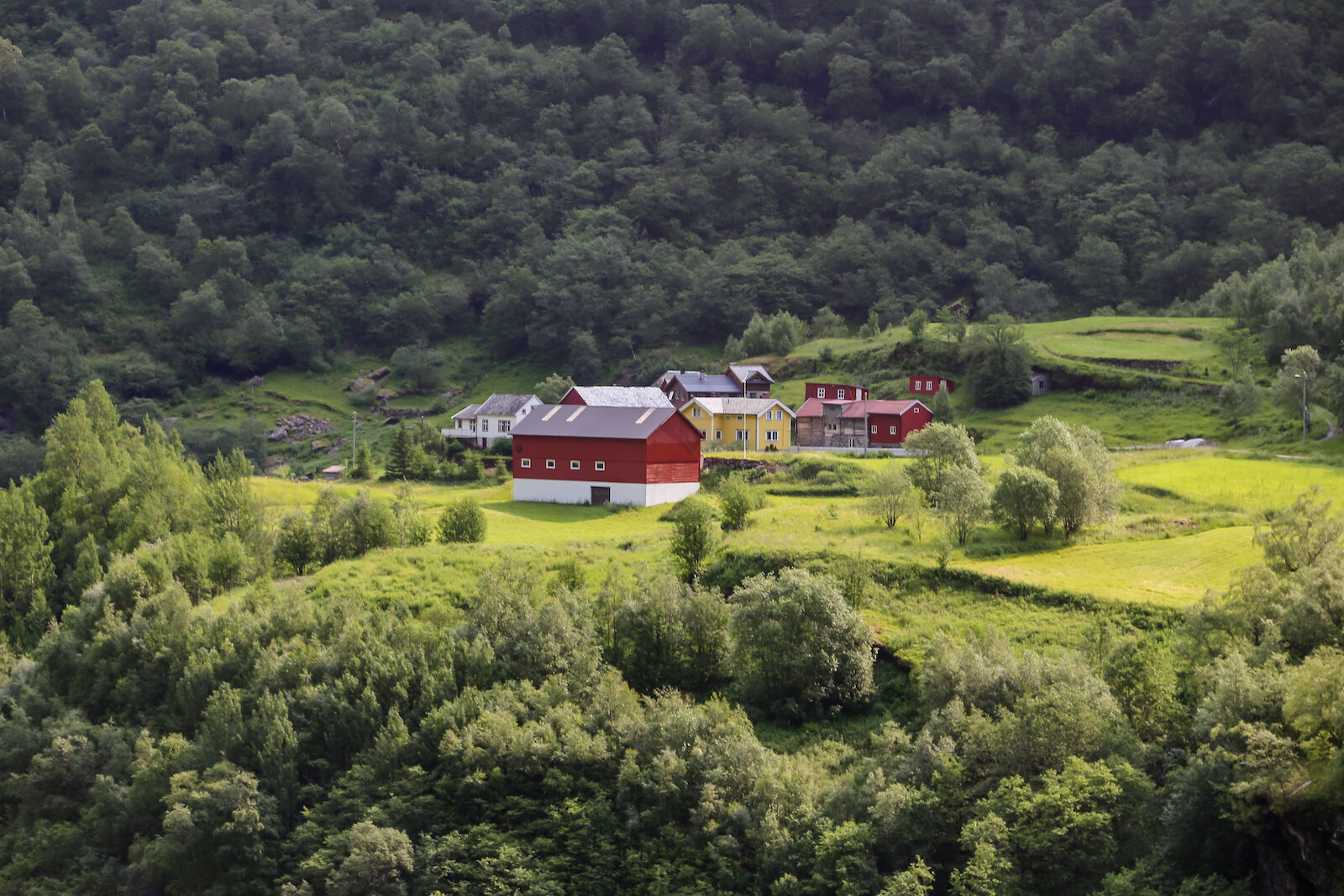 2013 EUROPE FLOM-9.JPG