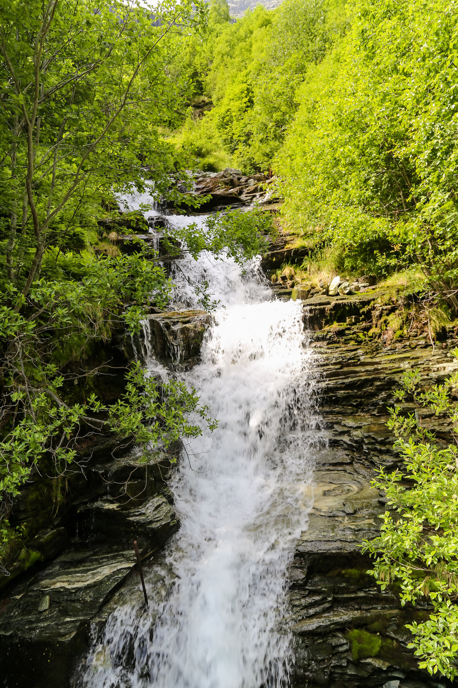 2013 EUROPE FLOM-42.JPG