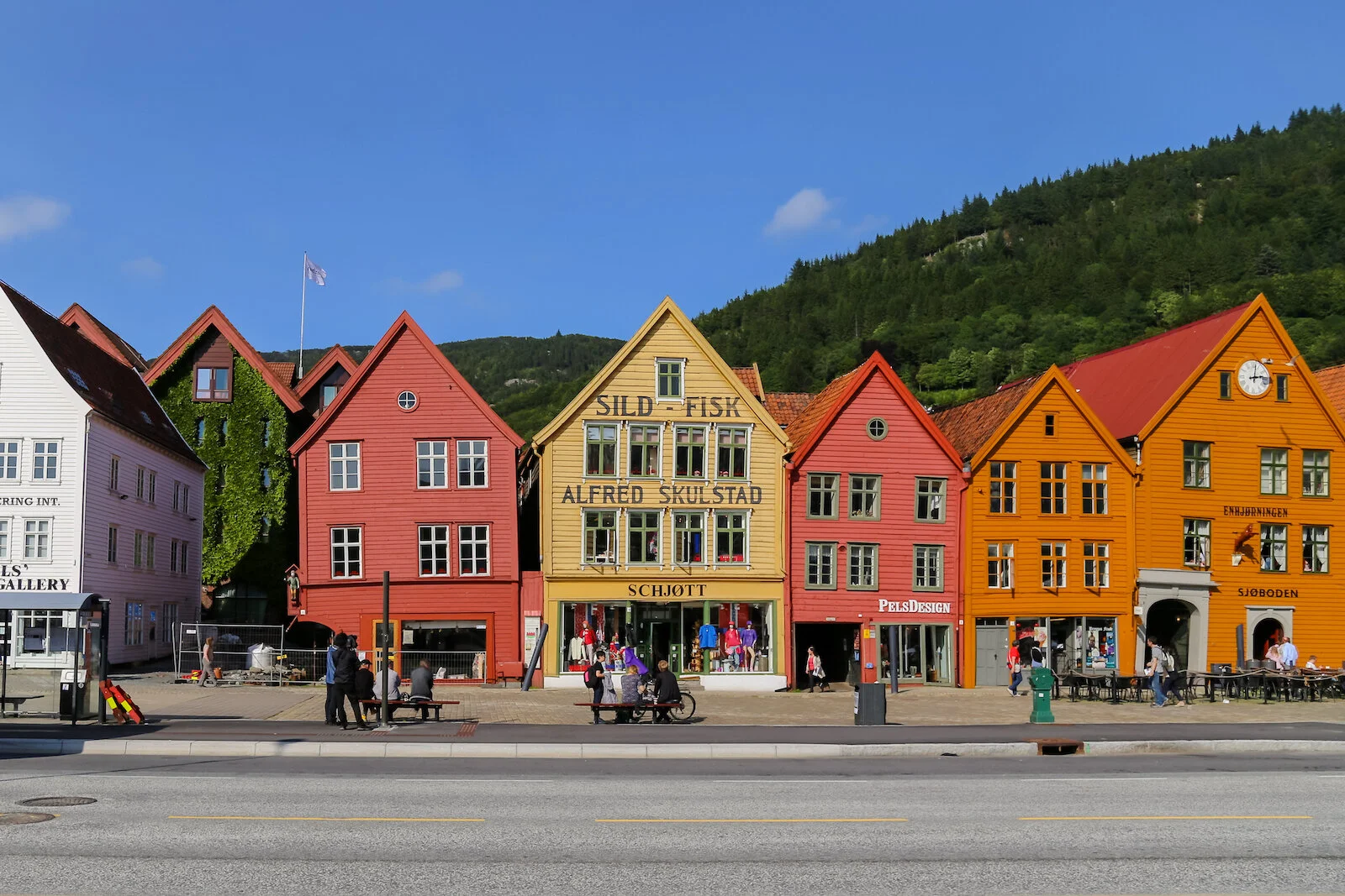 2013 EUROPE BERGEN-10.JPG