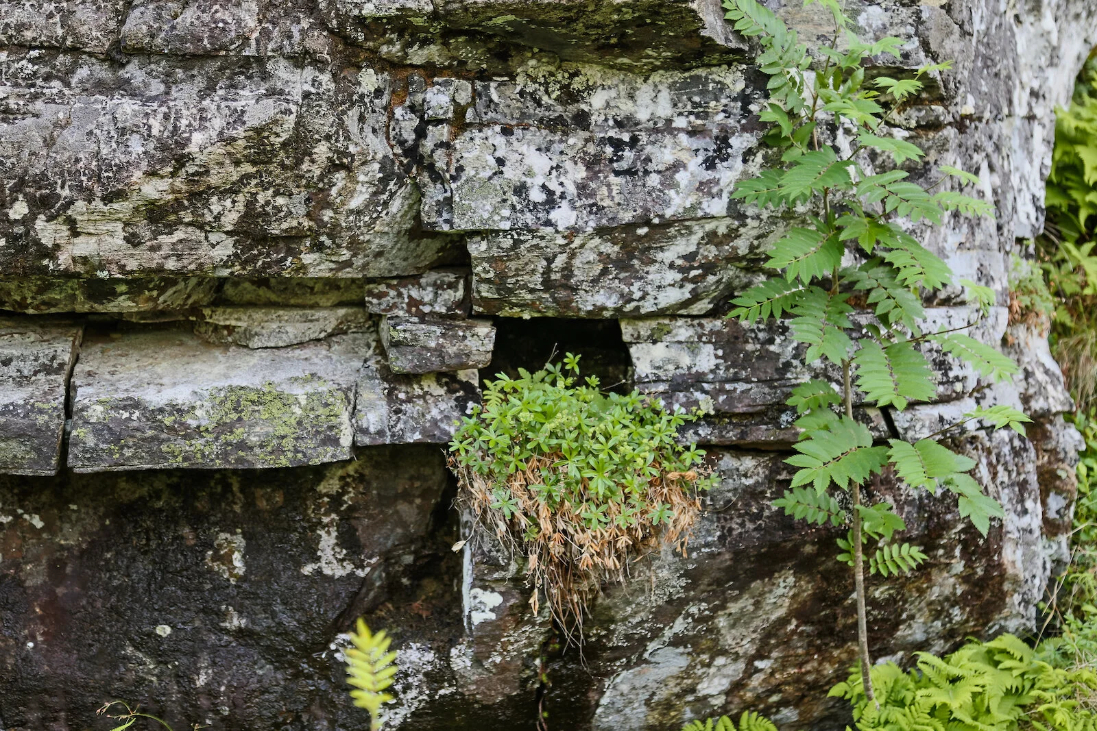 2013 EUROPE NORWAY AT SEA-5.JPG