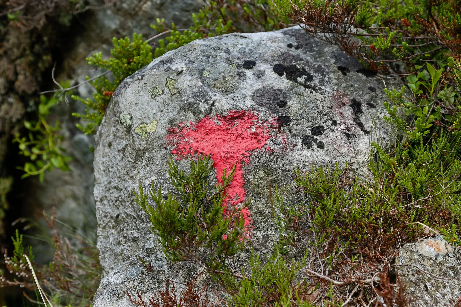 2013 EUROPE NORWAY AT SEA-8.JPG