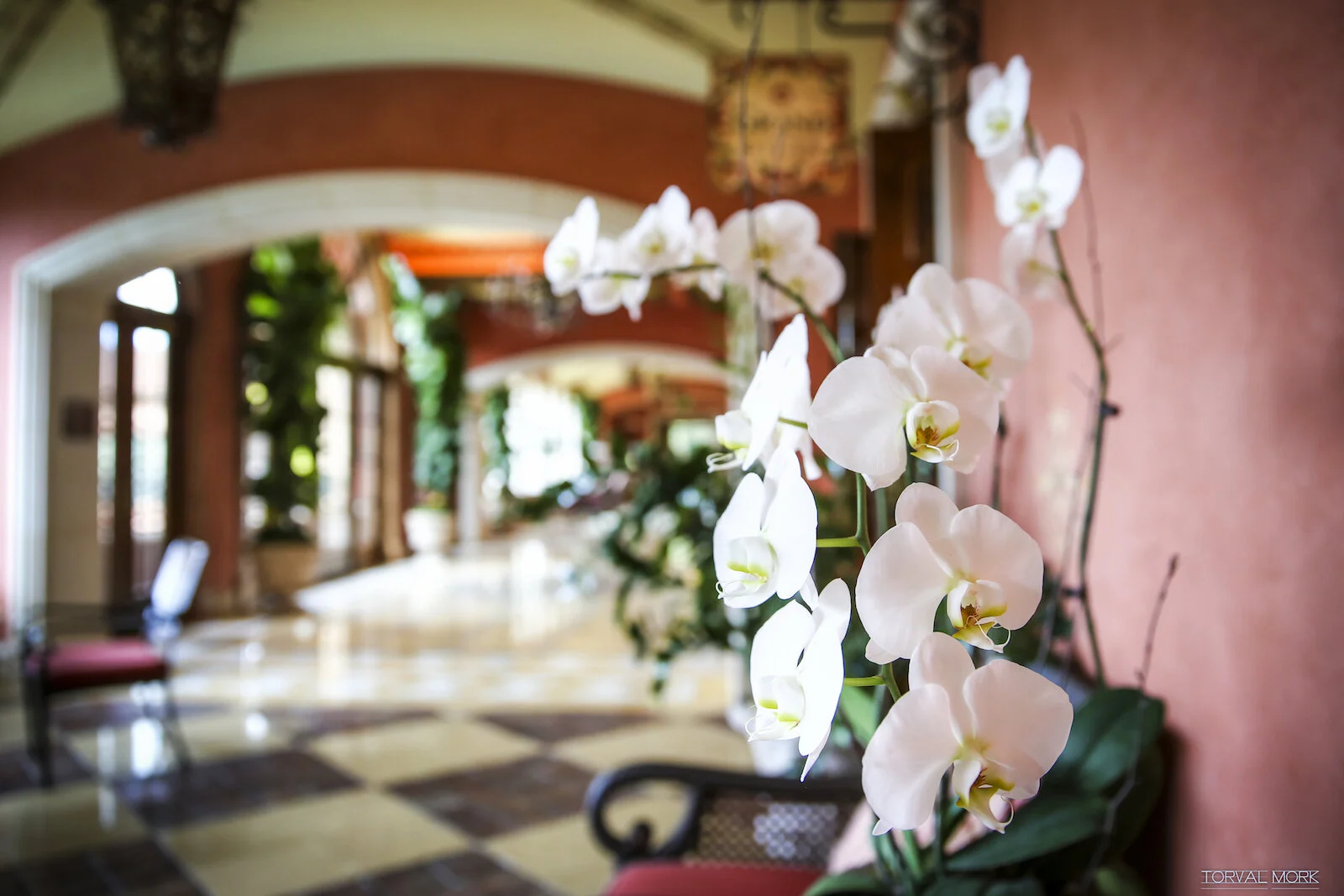 2016 SAN DIEGO-2.JPG