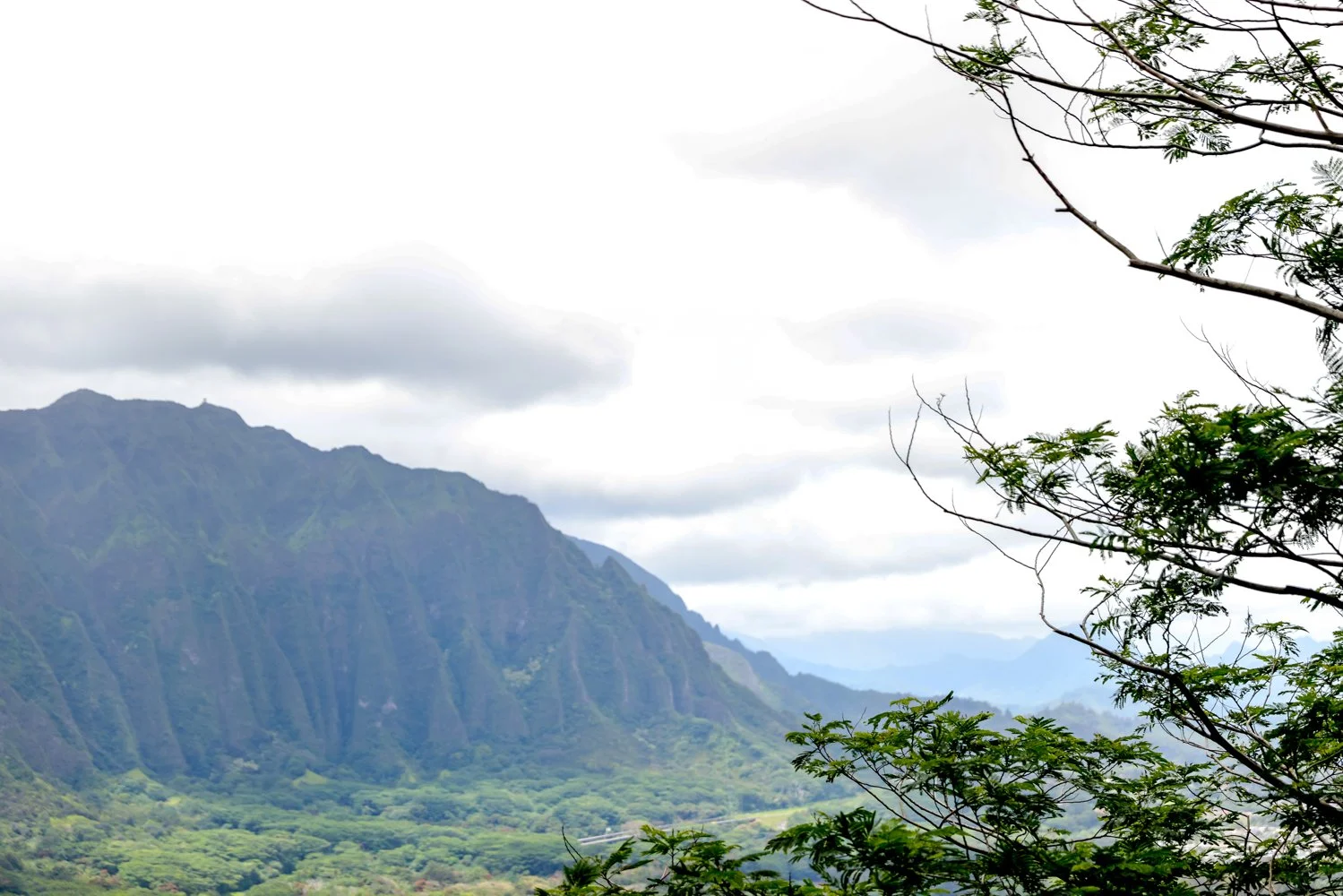2022 OAHU-179.jpg