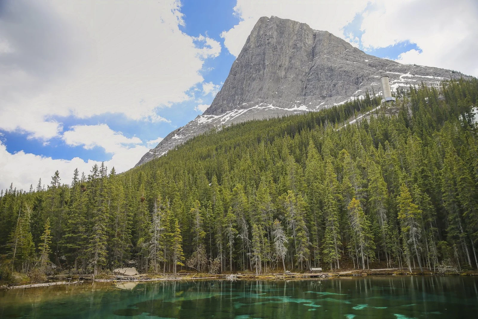 2017 CANMORE A36Y9601-2.JPG