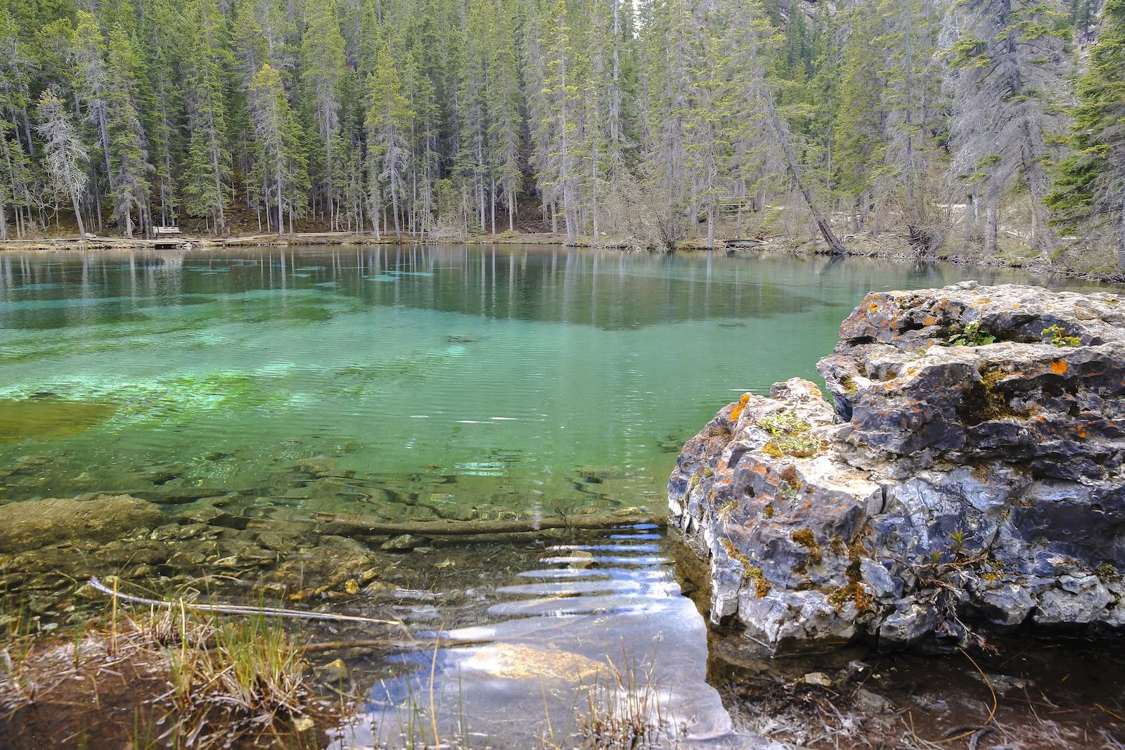 2017 CANMORE A36Y9602-2.JPG