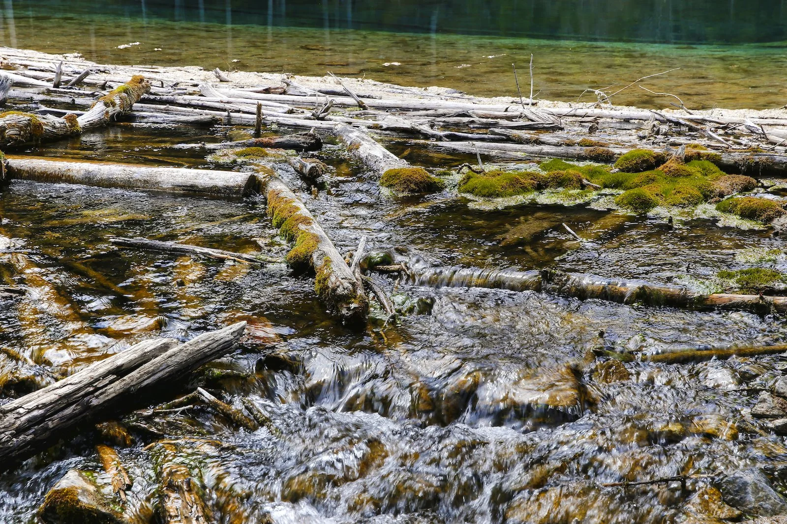 2017 CANMORE A36Y9620-2.JPG