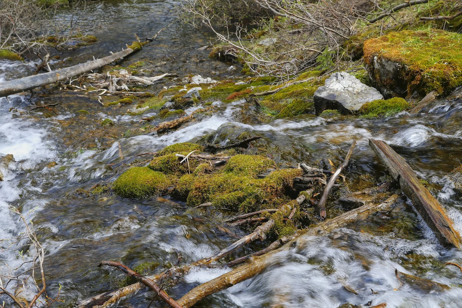 2017 CANMORE A36Y9623-2.JPG