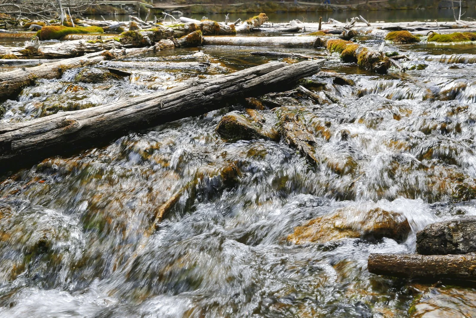 2017 CANMORE A36Y9624-2.JPG