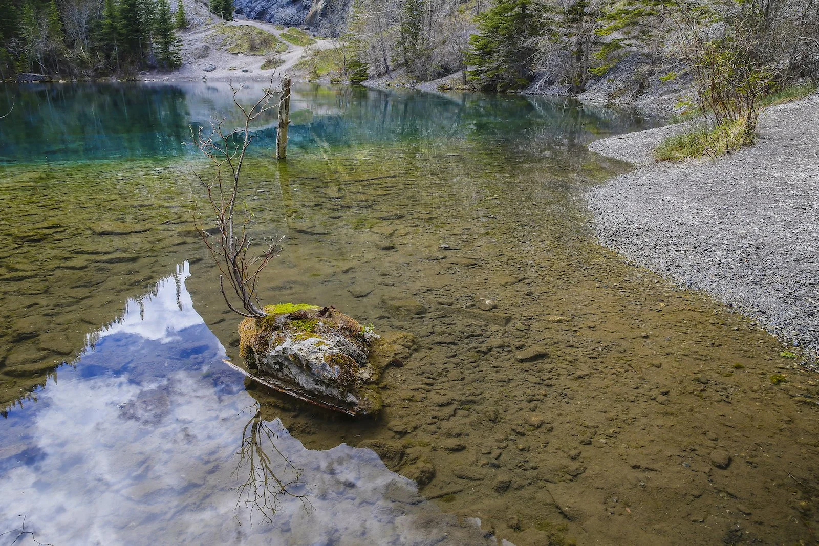 2017 CANMORE A36Y9626-2.JPG